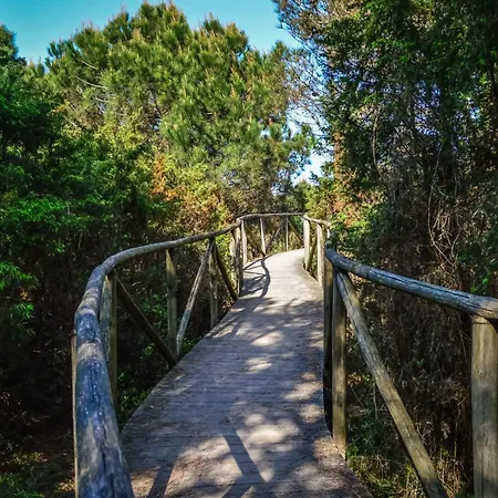 Flat In Appartement Rosolina Mare